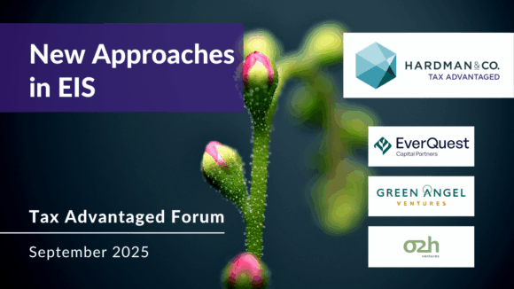 New approaches in EIS: three more managers tell their story