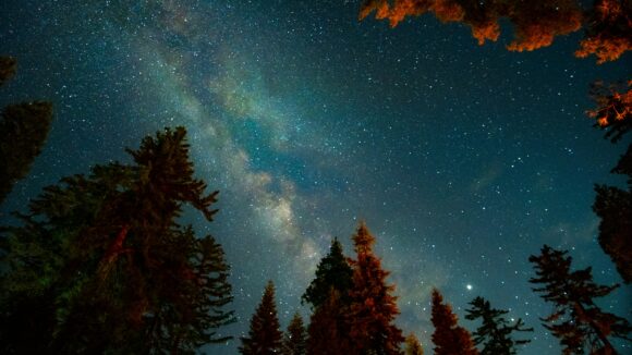 126: An all-star panel discuss EIS & VCTs in 2025 and look forward to 2026